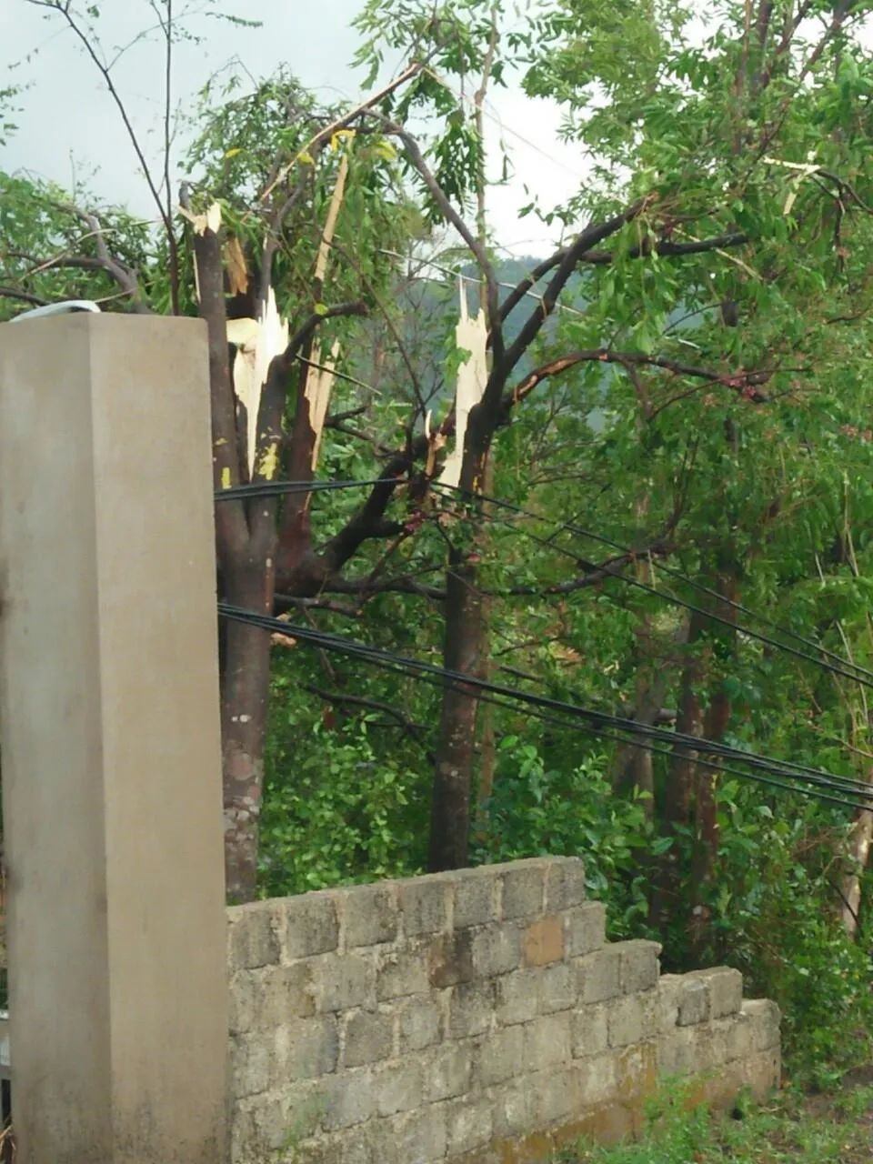 Hà Tĩnh: Lốc xoáy làm 2 người bị thương, nhiều nhà dân bị tốc mái ảnh 5