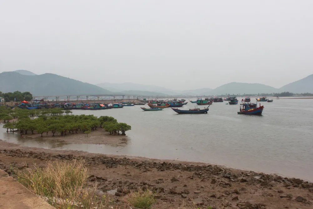 Các tỉnh miền Trung nỗ lực ứng phó bão số 4  ảnh 8