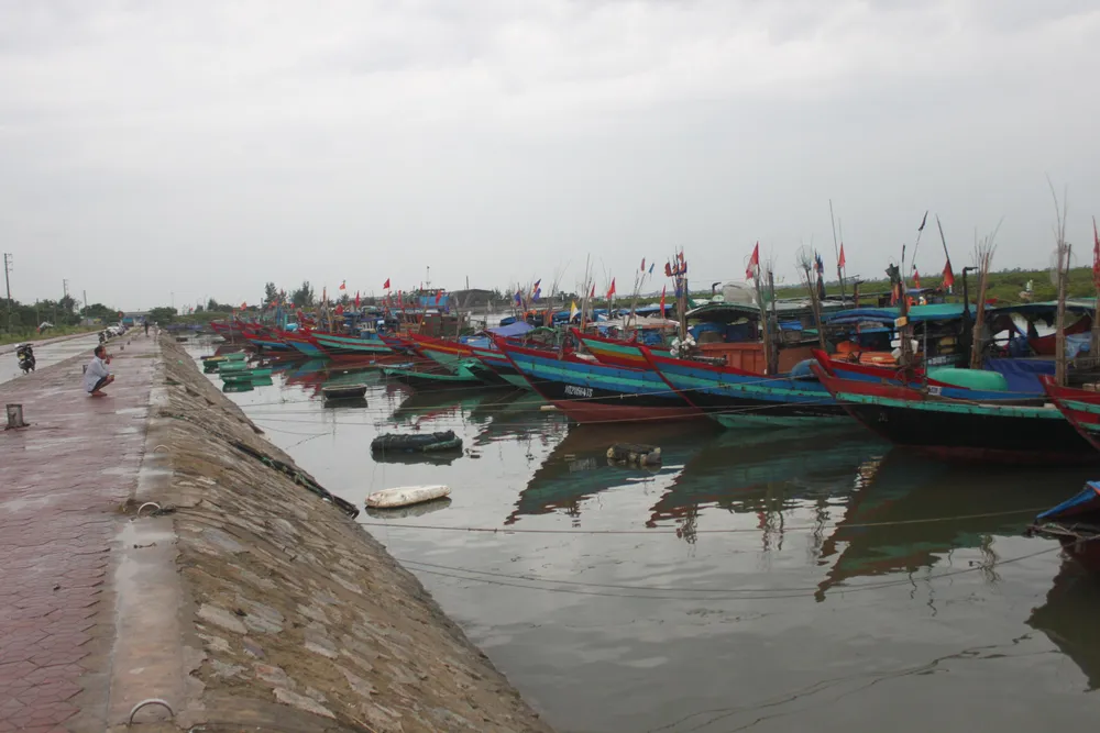 Các tỉnh miền Trung nỗ lực ứng phó bão số 4  ảnh 6