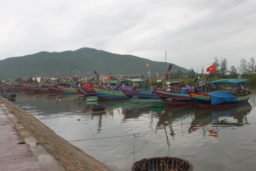 Các tỉnh miền Trung nỗ lực ứng phó bão số 4  ảnh 7