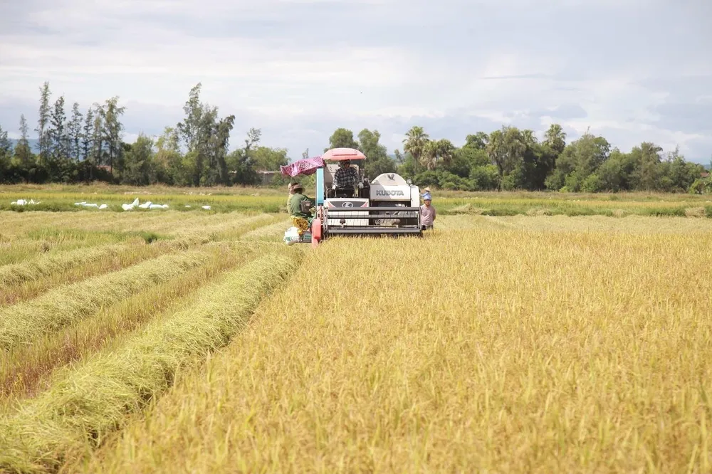 Các tỉnh miền Trung nỗ lực ứng phó bão số 4  ảnh 12