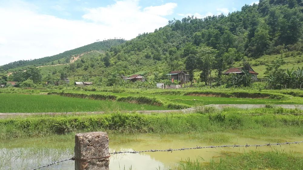 Hà Tĩnh: Vẫn chưa liên lạc được với 7 người dân tộc Chứt vào rừng lấy lá nón ảnh 1