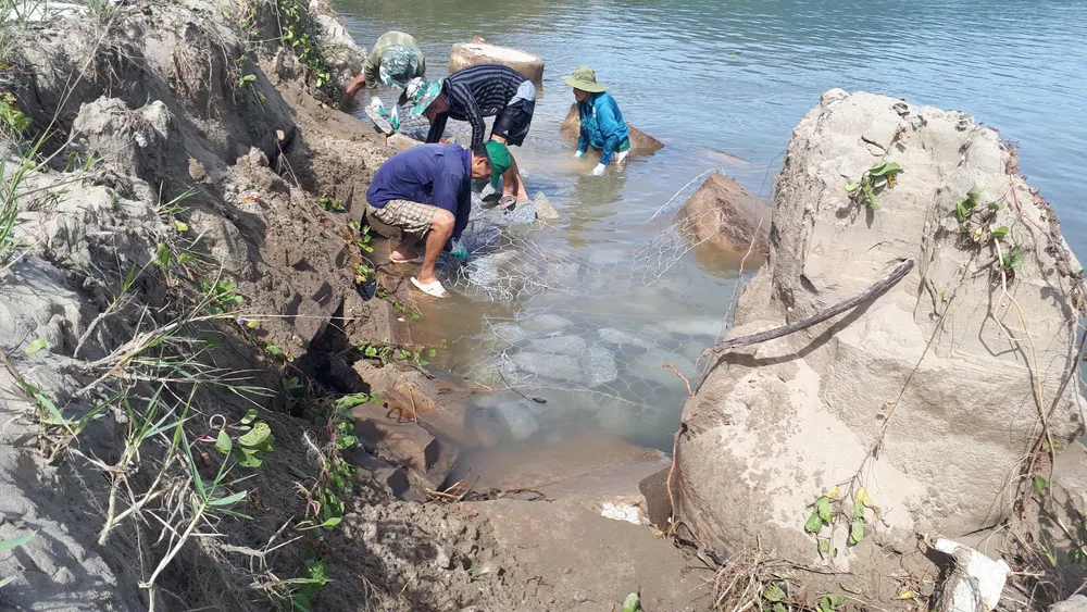 Khắc phục sự cố sạt lở đê biển xung yếu ở Hà Tĩnh ảnh 2