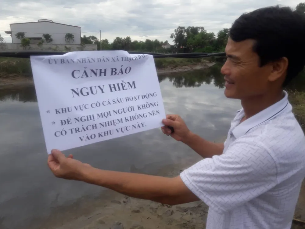 Đang tìm bắt cá sấu xuất hiện trên sông cầu Đông ở Hà Tĩnh ảnh 2