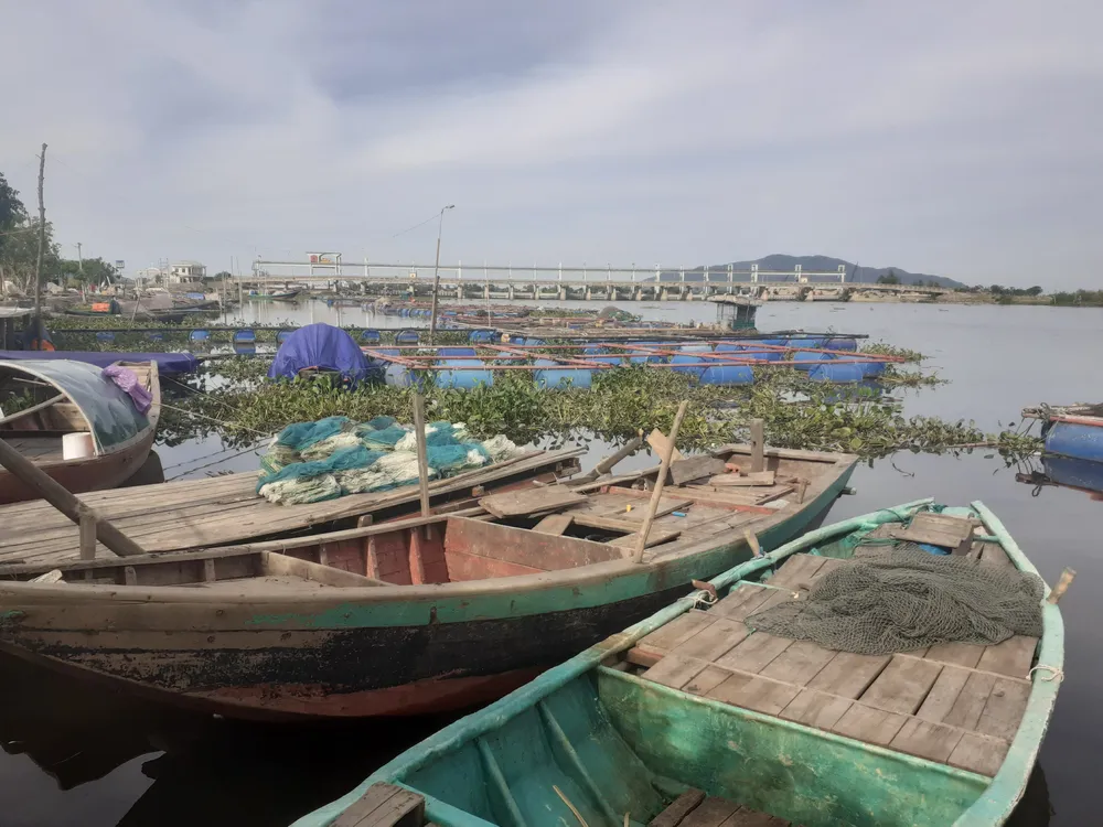 Cơ quan chức năng nói gì về hiện tượng cá nuôi lồng bè chết ở Hà Tĩnh ảnh 1