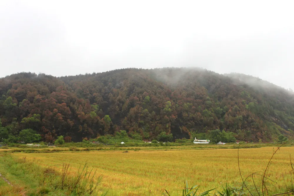 Đốt rác gây cháy rừng kinh hoàng ở Hà Tĩnh, một người lãnh án tù ảnh 2