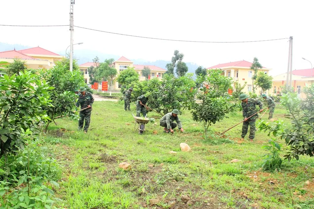 Hiệu quả từ mô hình “5 vườn, 3 giàn” của Bộ đội Biên phòng Hà Tĩnh  ảnh 3