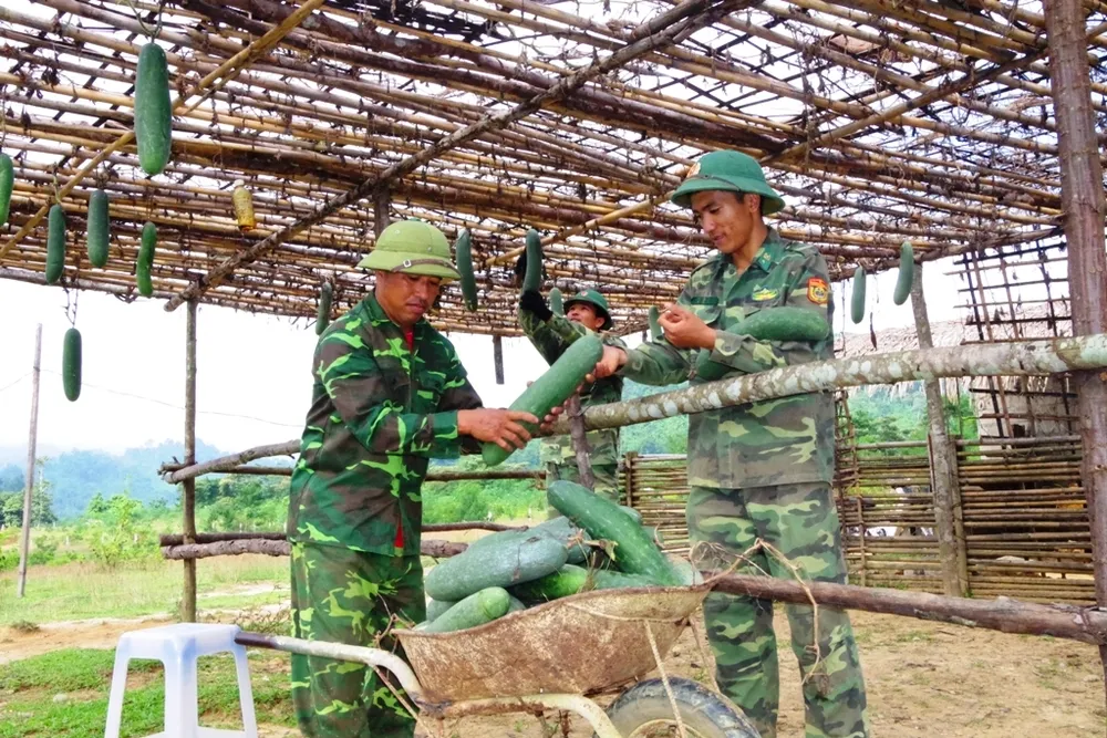 Hiệu quả từ mô hình “5 vườn, 3 giàn” của Bộ đội Biên phòng Hà Tĩnh  ảnh 10