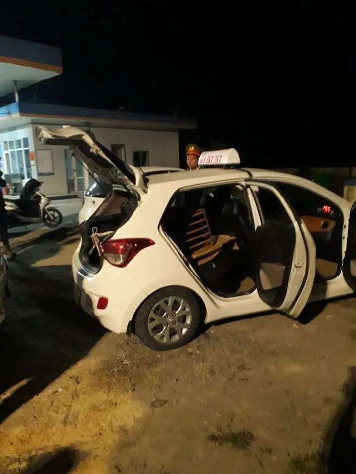 Vận chuyển gấu quý hiếm bằng xe taxi ảnh 2