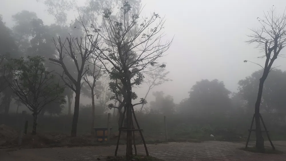 Sương mù phủ kín ở Hà Tĩnh ảnh 11