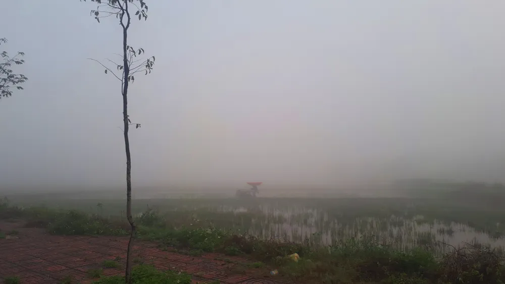 Sương mù phủ kín ở Hà Tĩnh ảnh 6