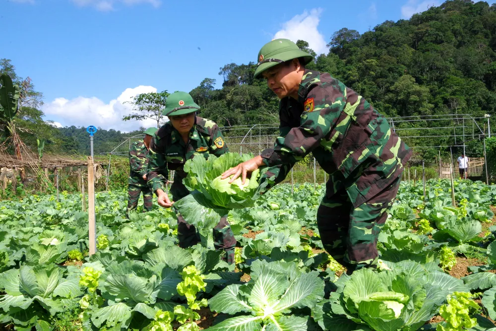 Giữ bình yên cho người dân đón tết ảnh 5