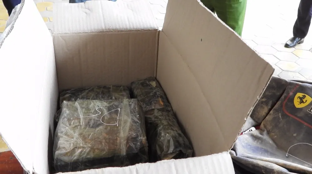 Bắt giữ 2 đối tượng, thu giữ 45kg ma túy đá ảnh 1