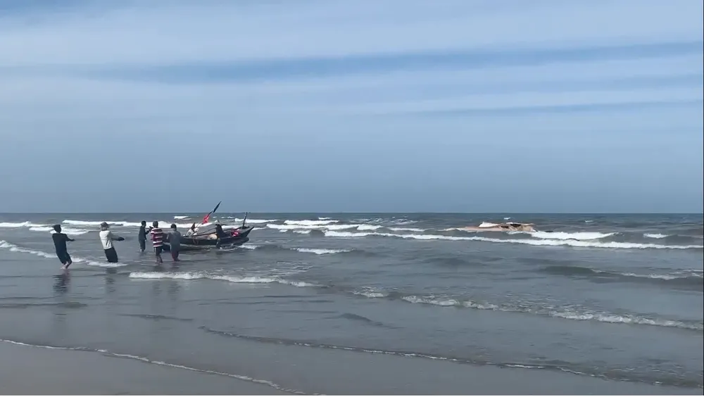 Phát hiện xác cá voi lớn trôi dạt vào bờ biển Hà Tĩnh ảnh 2