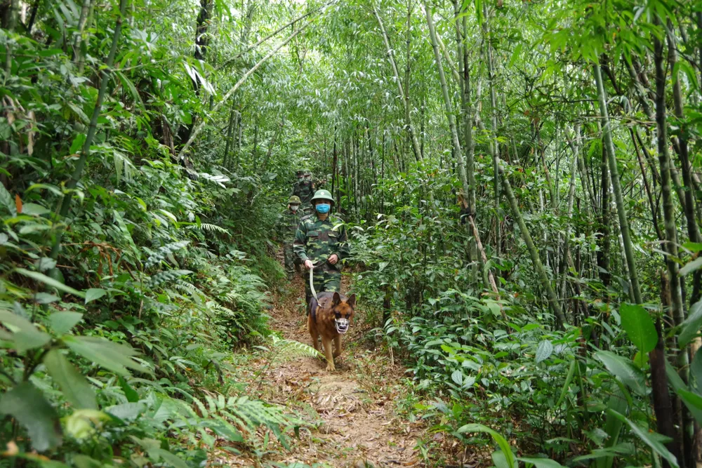 Kiểm soát chặt chẽ khu vực biên giới Việt - Lào nhằm ngăn chặn người dân vượt biên trái phép ảnh 7