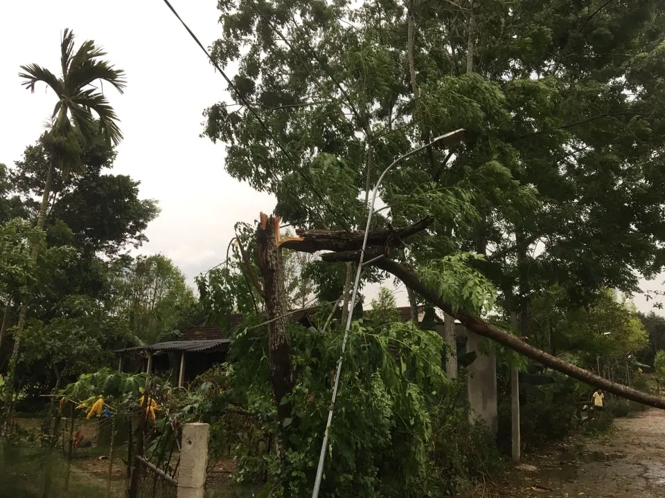 Lốc xoáy khiến nhiều nhà dân ở Hà Tĩnh bị thiệt hại ảnh 4