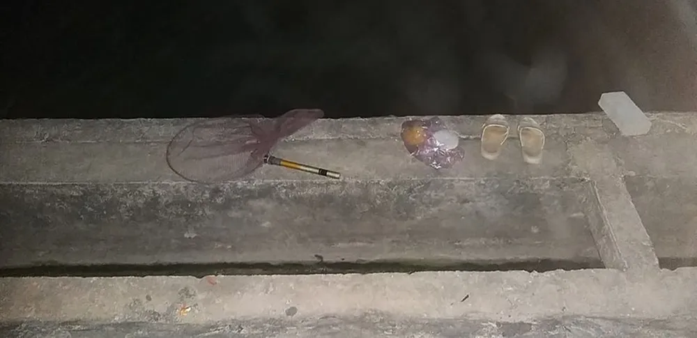 Hai cha con tử vong khi ra hồ câu cá ảnh 1