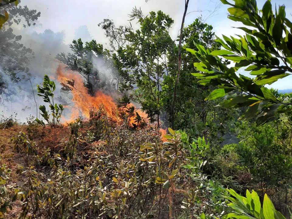 Nắng nóng, gió thổi mạnh, thực bì dày... khiến đám cháy bùng phát trở lại  trên dãy núi Mồng Gà