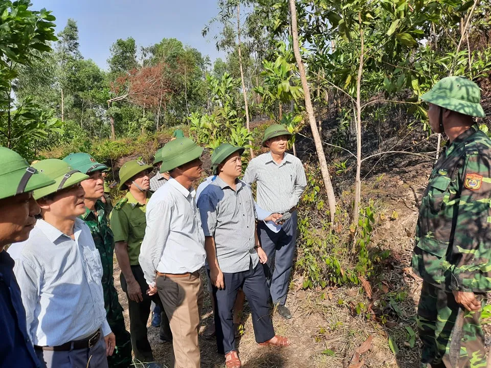 Vừa được khống chế, lửa bùng phát trở lại trên dãy núi ở Hà Tĩnh ảnh 3