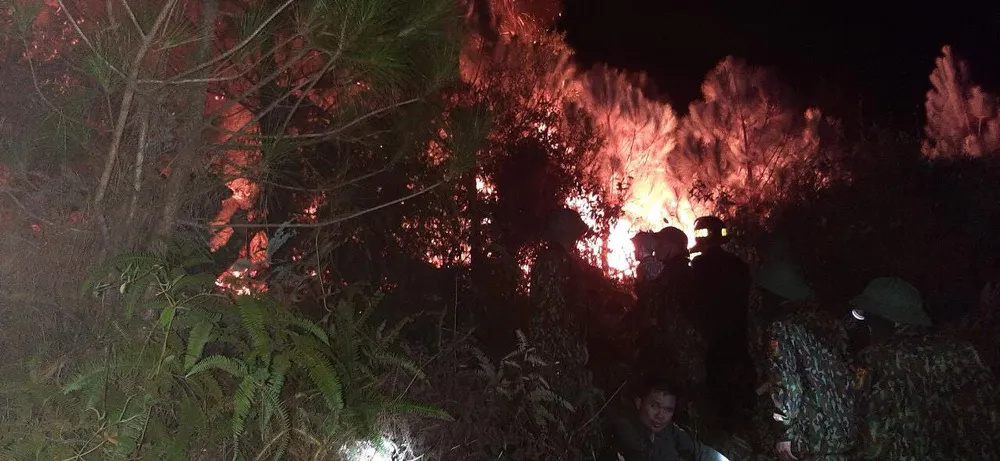 Vừa được khống chế, lửa bùng phát trở lại trên dãy núi ở Hà Tĩnh ảnh 9