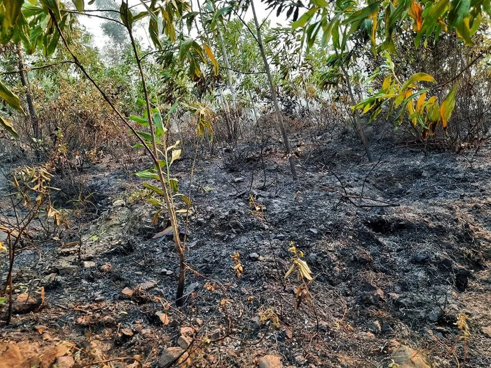 Vừa được khống chế, lửa bùng phát trở lại trên dãy núi ở Hà Tĩnh ảnh 1