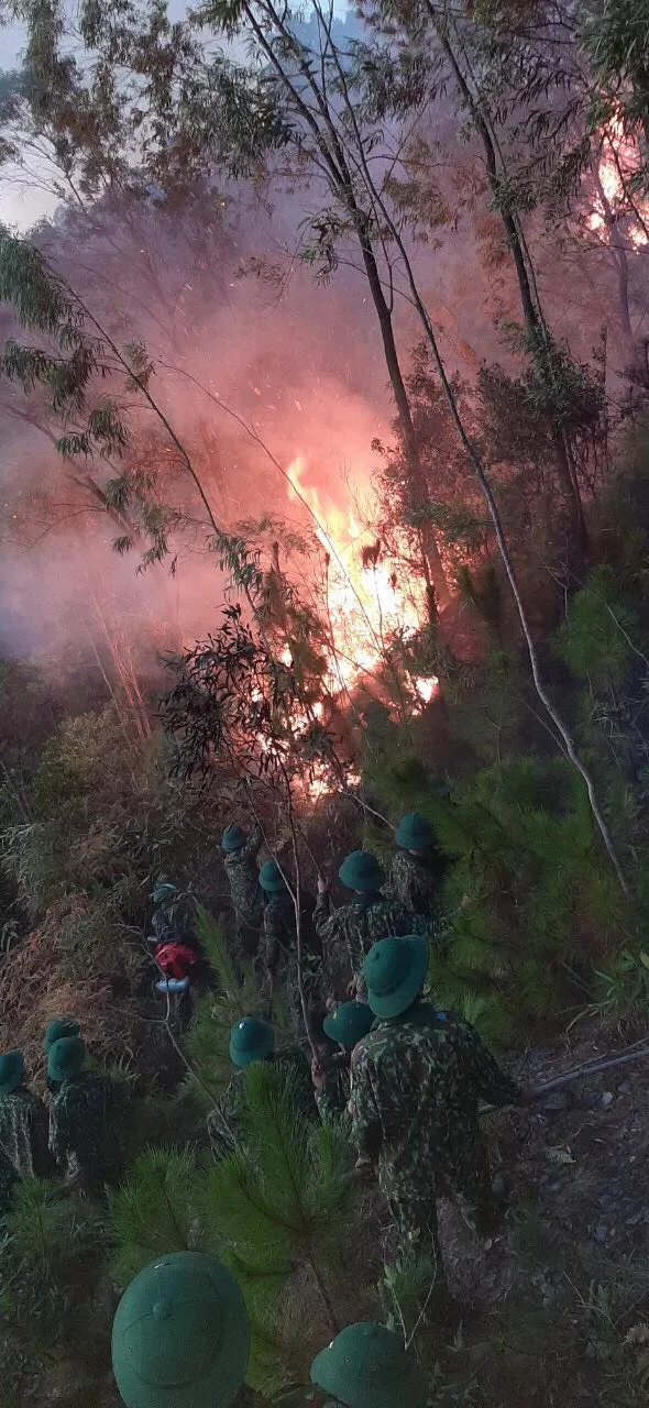 Vừa được khống chế, lửa bùng phát trở lại trên dãy núi ở Hà Tĩnh ảnh 10