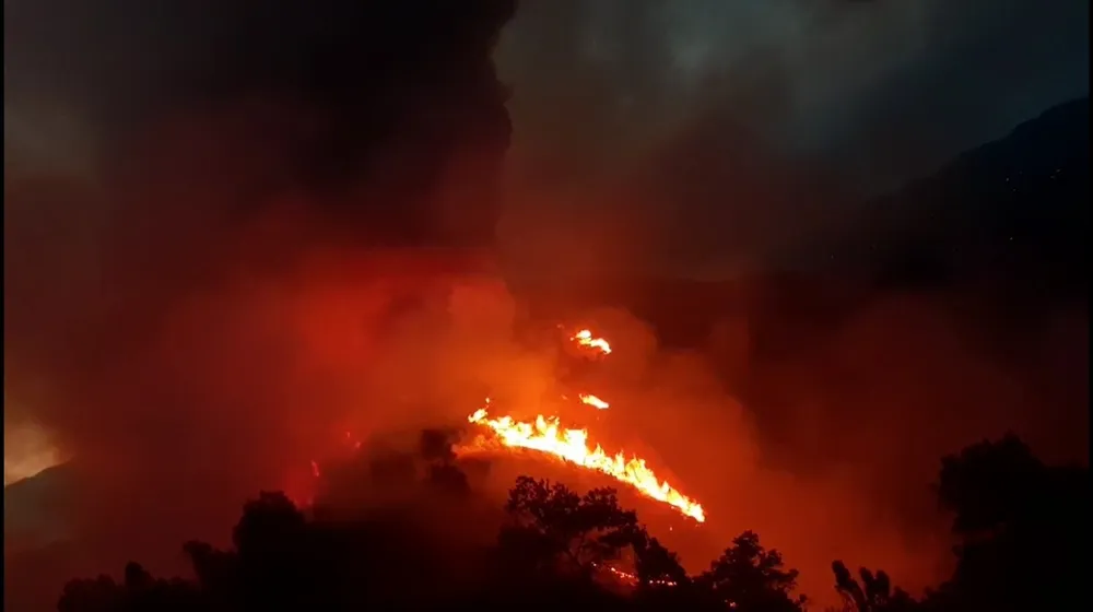 Cơ bản khống chế được đám cháy rừng ở Hà Tĩnh ảnh 5