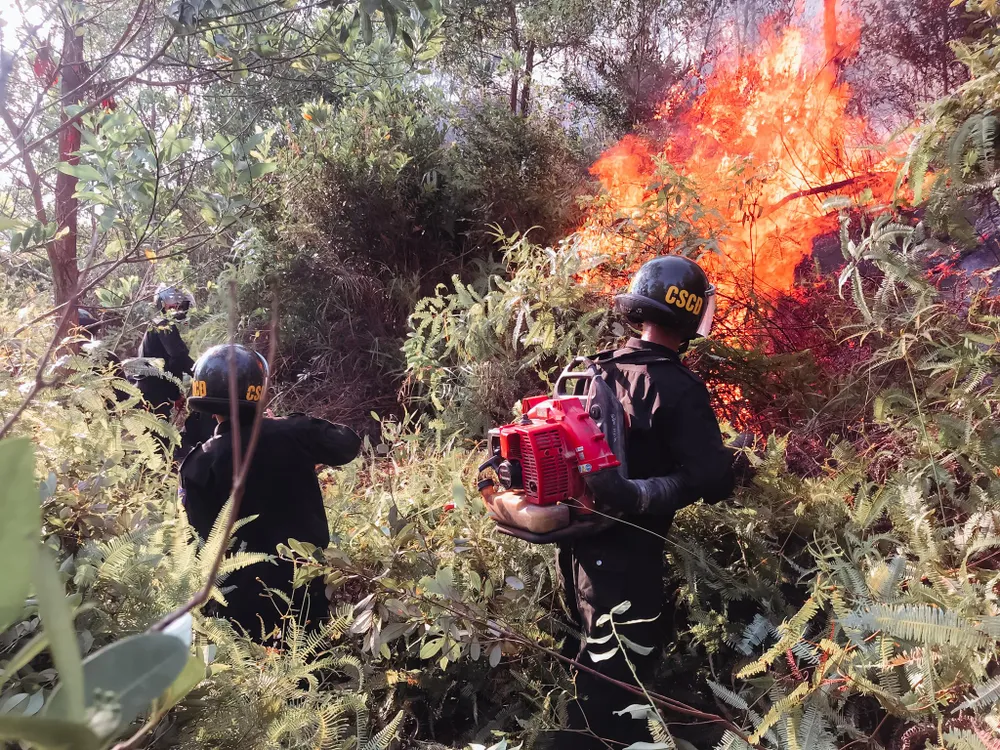Vừa được khống chế, lửa bùng phát trở lại trên dãy núi ở Hà Tĩnh ảnh 5