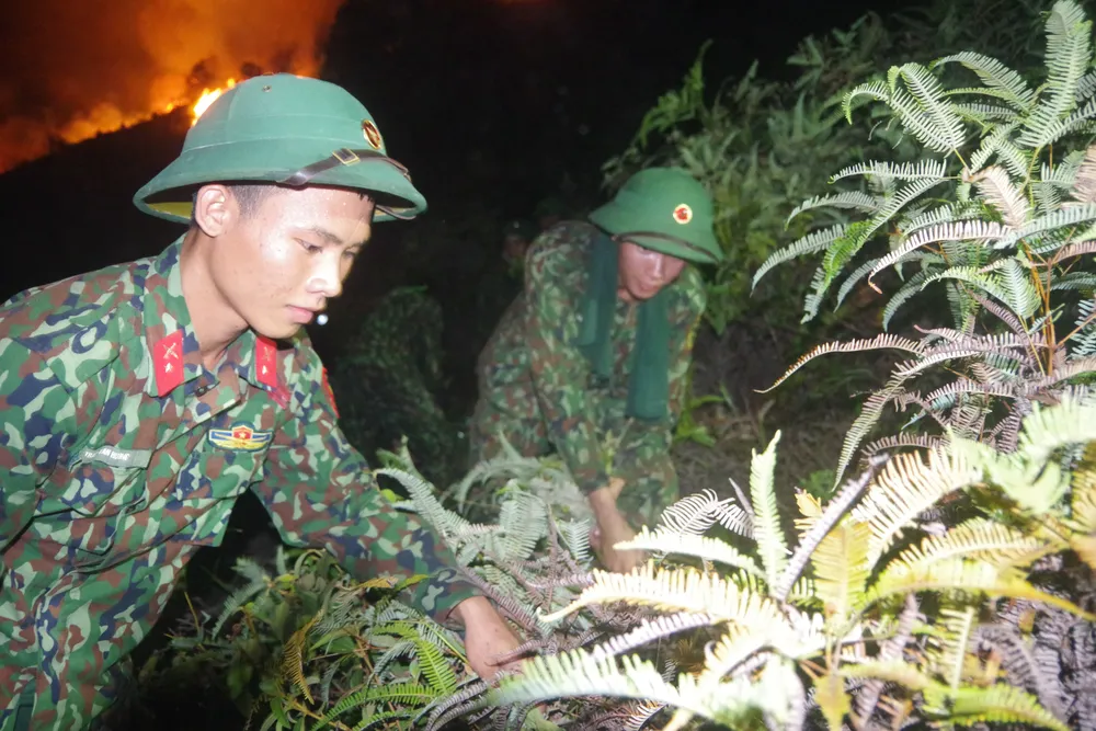 Cơ bản khống chế được đám cháy rừng ở Hà Tĩnh ảnh 14