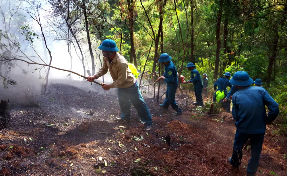 Cơ bản khống chế được đám cháy rừng ở Hà Tĩnh ảnh 2