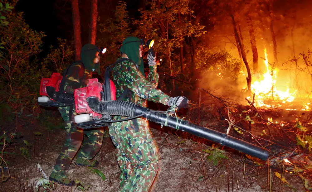 Cơ bản khống chế được đám cháy rừng ở Hà Tĩnh ảnh 4