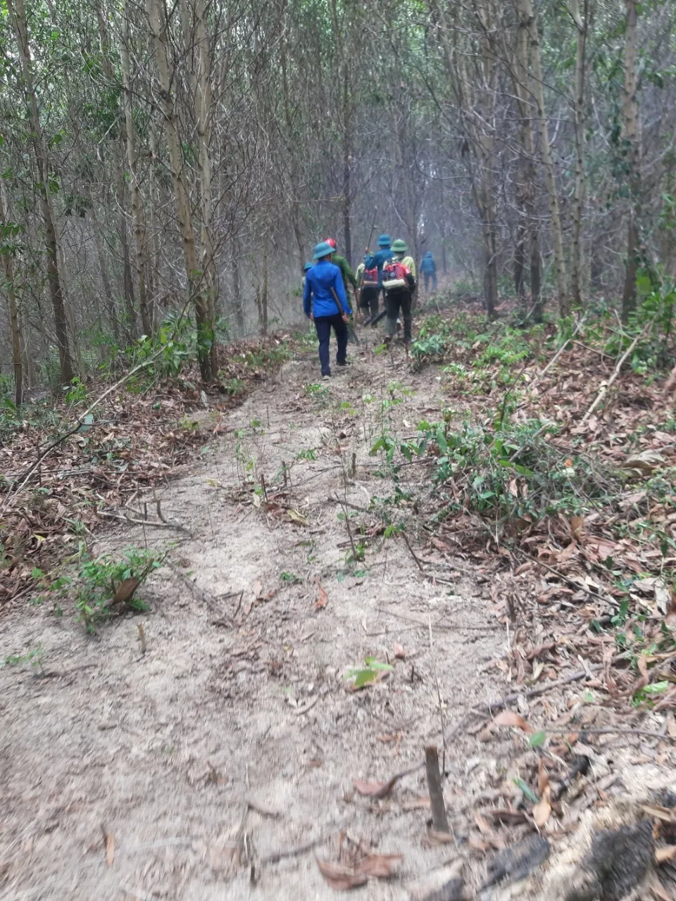 Kịp thời khống chế đám cháy tại khu vực rừng keo ở Hà Tĩnh ảnh 1