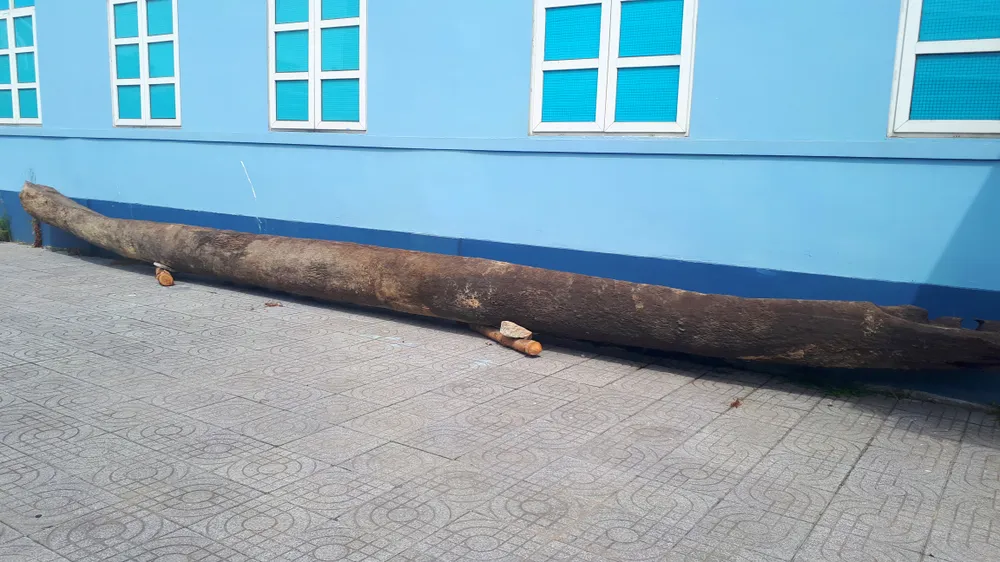 Phát hiện 2 chiếc thuyền độc mộc dưới lòng sông Ngàn Sâu ảnh 4