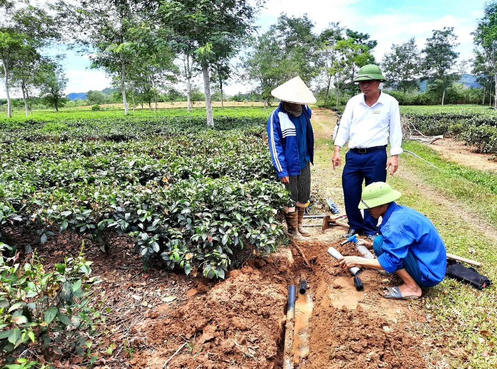 Nắng hạn gây thiệt hại nặng ở Hương Khê ảnh 1
