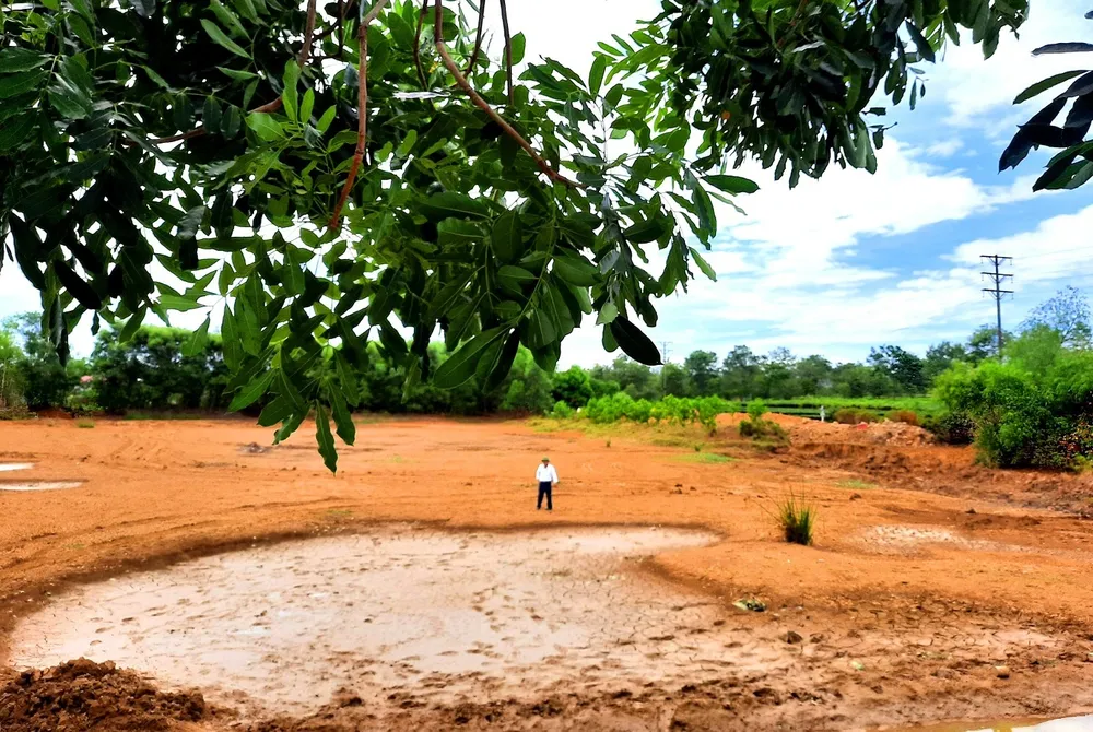 Nắng hạn gây thiệt hại nặng ở Hương Khê ảnh 4