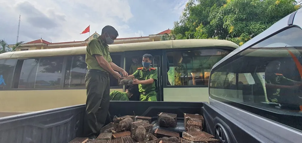 Phát hiện xe khách vận chuyển 45 cá thể dúi ảnh 1