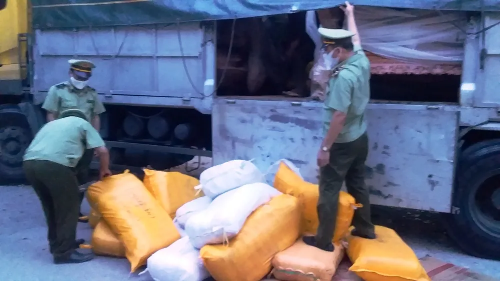 Phát hiện xe tải vận chuyển 390.000 khẩu trang không có hóa đơn chứng từ ảnh 3