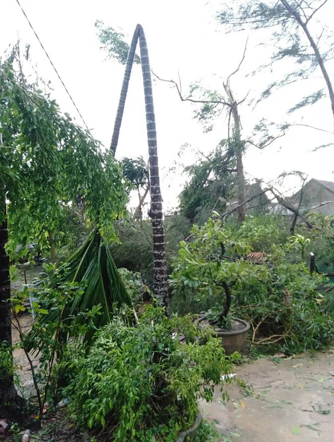 Bão số 5 gây lốc xoáy và mưa lớn nhiều nơi ảnh 28