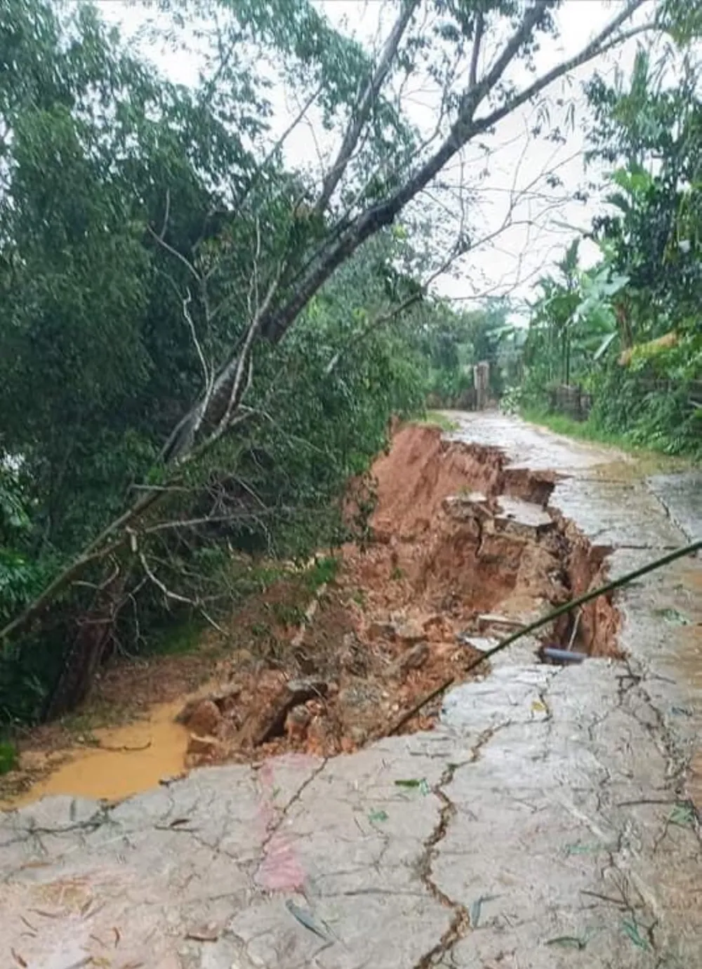 Hà Tĩnh mưa lớn, nhiều tuyến đường thôn bị sạt lở nghiêm trọng ảnh 9