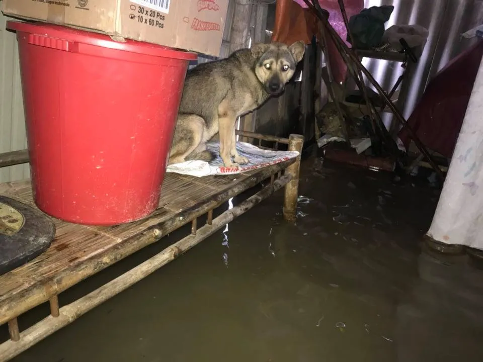 Hà Tĩnh sơ tán hàng trăm người dân đến nơi an toàn tránh lũ ảnh 16