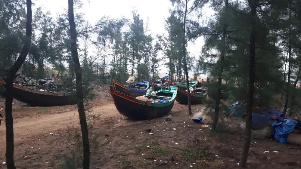 Ngư dân Hà Tĩnh gấp rút đưa tàu thuyền vào nơi tránh trú trước bão số 8 ảnh 7