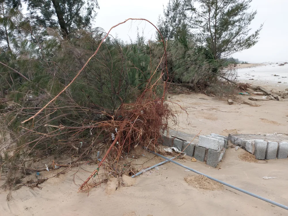 Ngư dân Hà Tĩnh gấp rút đưa tàu thuyền vào nơi tránh trú trước bão số 8 ảnh 6