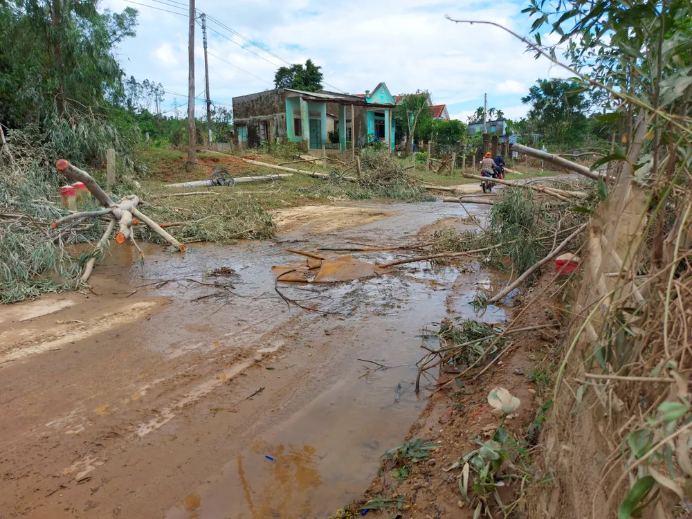 Đà Nẵng, Quảng Nam ngổn ngang sau bão  ảnh 7