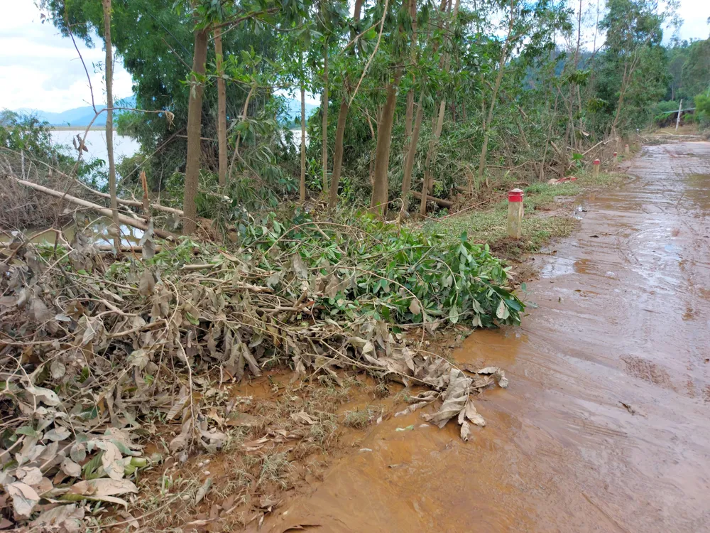 Đà Nẵng, Quảng Nam ngổn ngang sau bão  ảnh 6