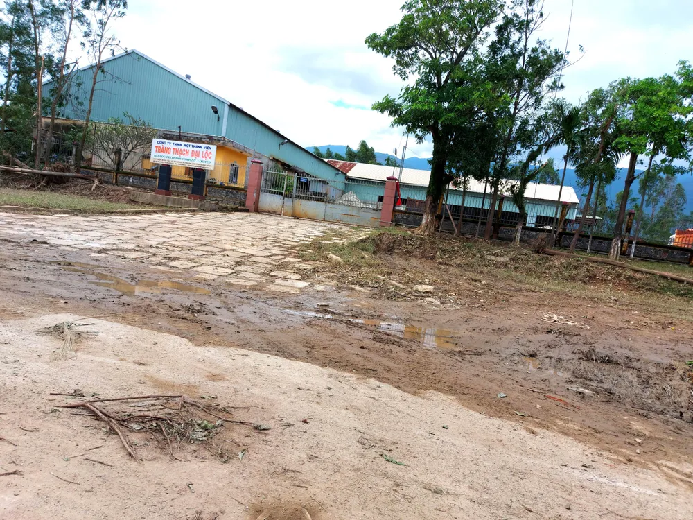 Đà Nẵng, Quảng Nam ngổn ngang sau bão  ảnh 9