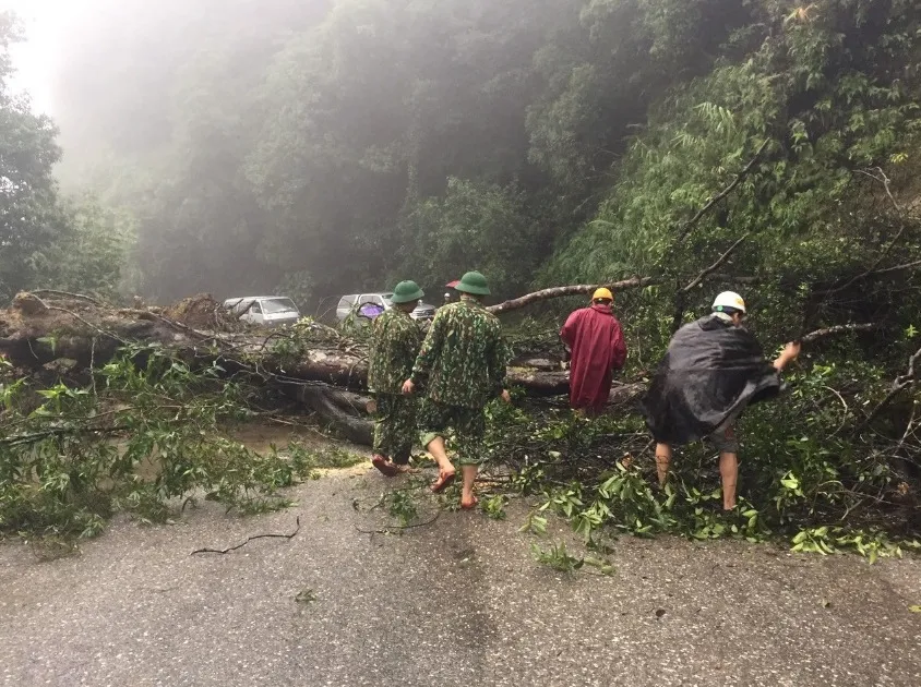 Khắc phục sạt lở trên tuyến Quốc lộ 8A lên Cửa khẩu Quốc tế Cầu Treo ảnh 4