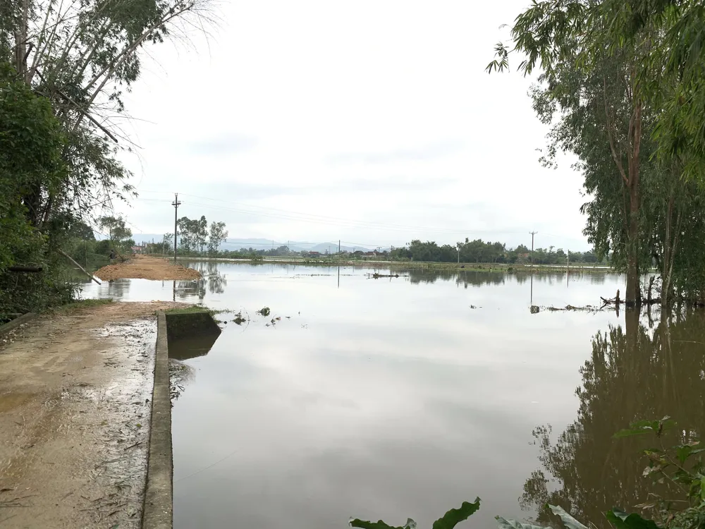 Nam sinh lớp 9 kịp thời cứu sống 2 bạn bị đuối nước ảnh 1