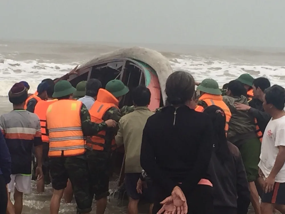 Kịp thời cứu sống hai ngư dân bị chìm thuyền trên biển ảnh 1