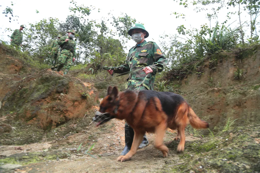 Hà Tĩnh tạm dừng các hoạt động lễ hội, sự kiện tập trung đông người ảnh 2