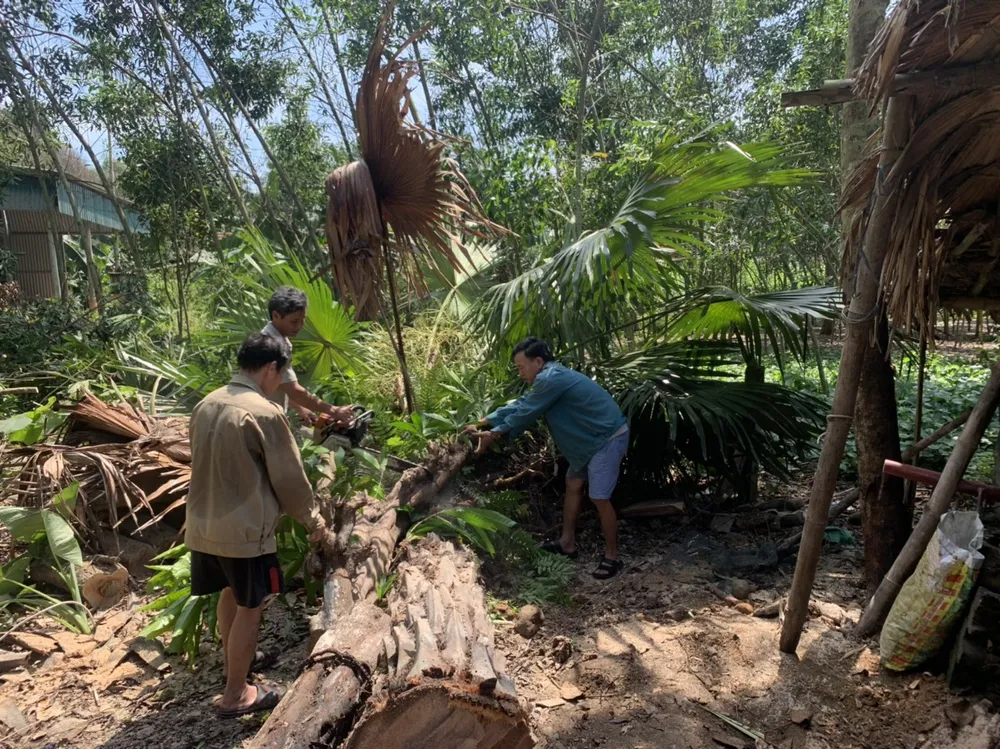 Lốc xoáy gây thiệt hại nặng về tài sản của người dân Hà Tĩnh ảnh 23